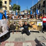 Manifestazione San Benedetto dei Marsi_Animalisti Italiani Onlus (24)