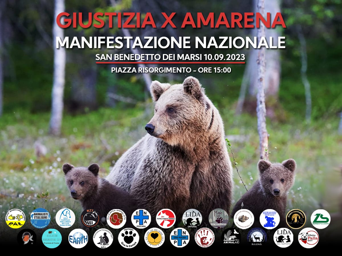 Giustizia per Amarena