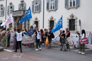 animalistiitaliani-27