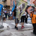 animalistiitaliani-35
