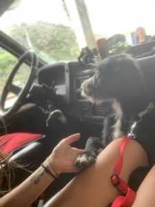 Jonny in viaggio con gli Animalisti Italiani Jonny in viaggio con gli Animalisti Italiani