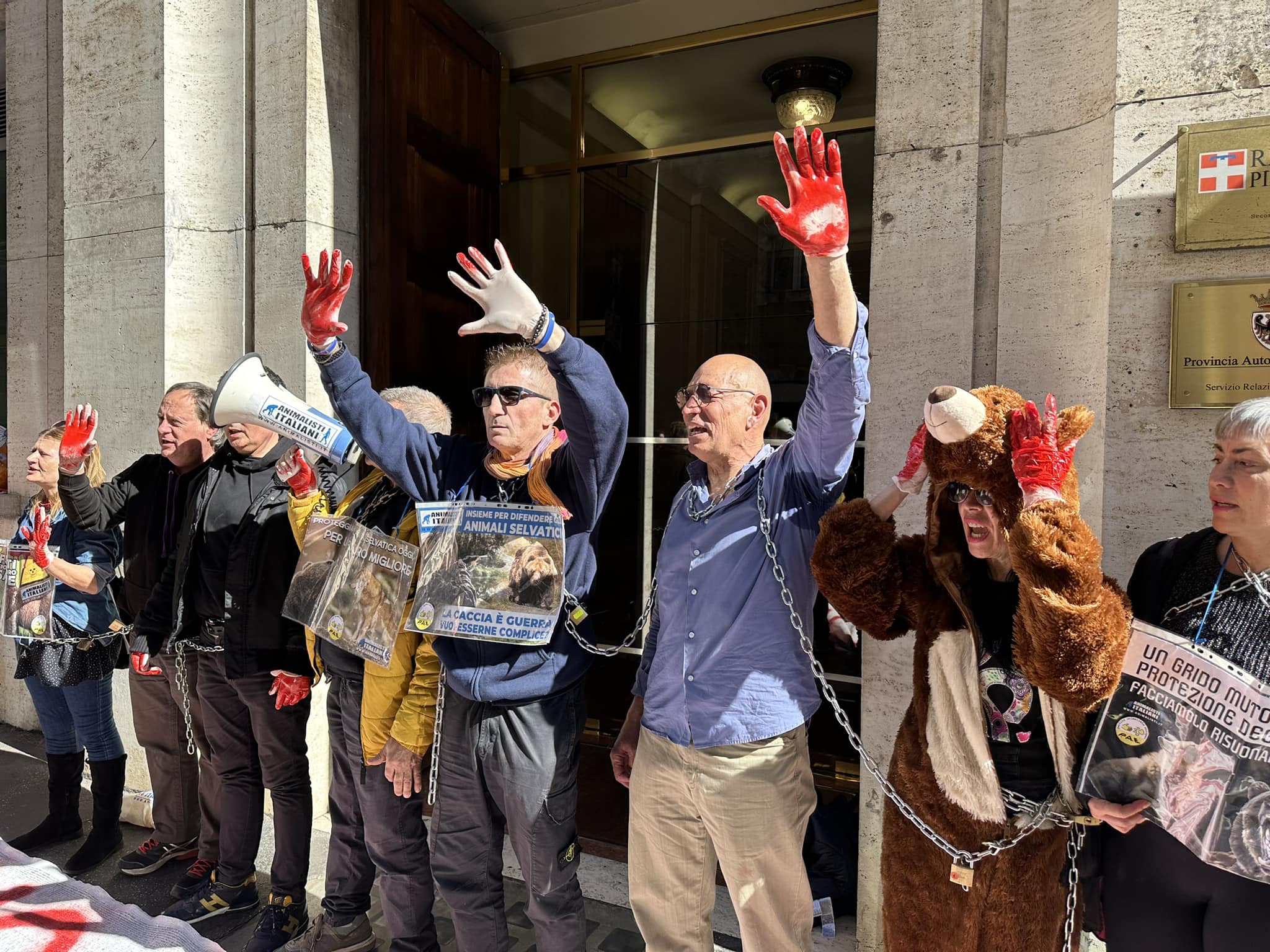 Foto Blitz 2
