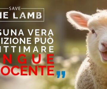 Save the Lamb
