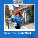 SVTL 2024 (2) SVTL 2024 (2)