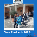 SVTL 2024 (3) SVTL 2024 (3)