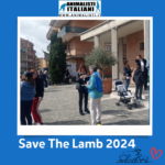 SVTL 2024 (4) SVTL 2024 (4)