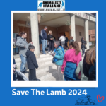 Save The Lamb_2024 (13) Save The Lamb_2024 (13)