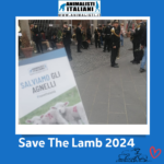 Save The Lamb_2024 (15) Save The Lamb_2024 (15)