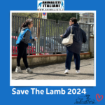 Save The Lamb_2024 (17) Save The Lamb_2024 (17)