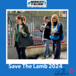 Save The Lamb_2024 (23) Save The Lamb_2024 (23)