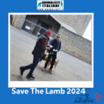 Save The Lamb_2024 (4) Save The Lamb_2024 (4)