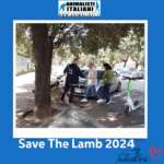 Save The Lamb_2024 (5) Save The Lamb_2024 (5)