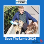 Save The Lamb_2024 (6) Save The Lamb_2024 (6)