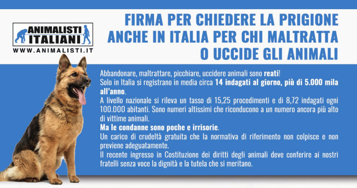 volantino-petizione-basso volantino-petizione-basso