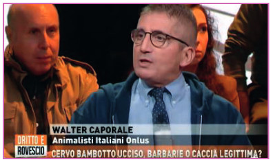 Walter Caporale