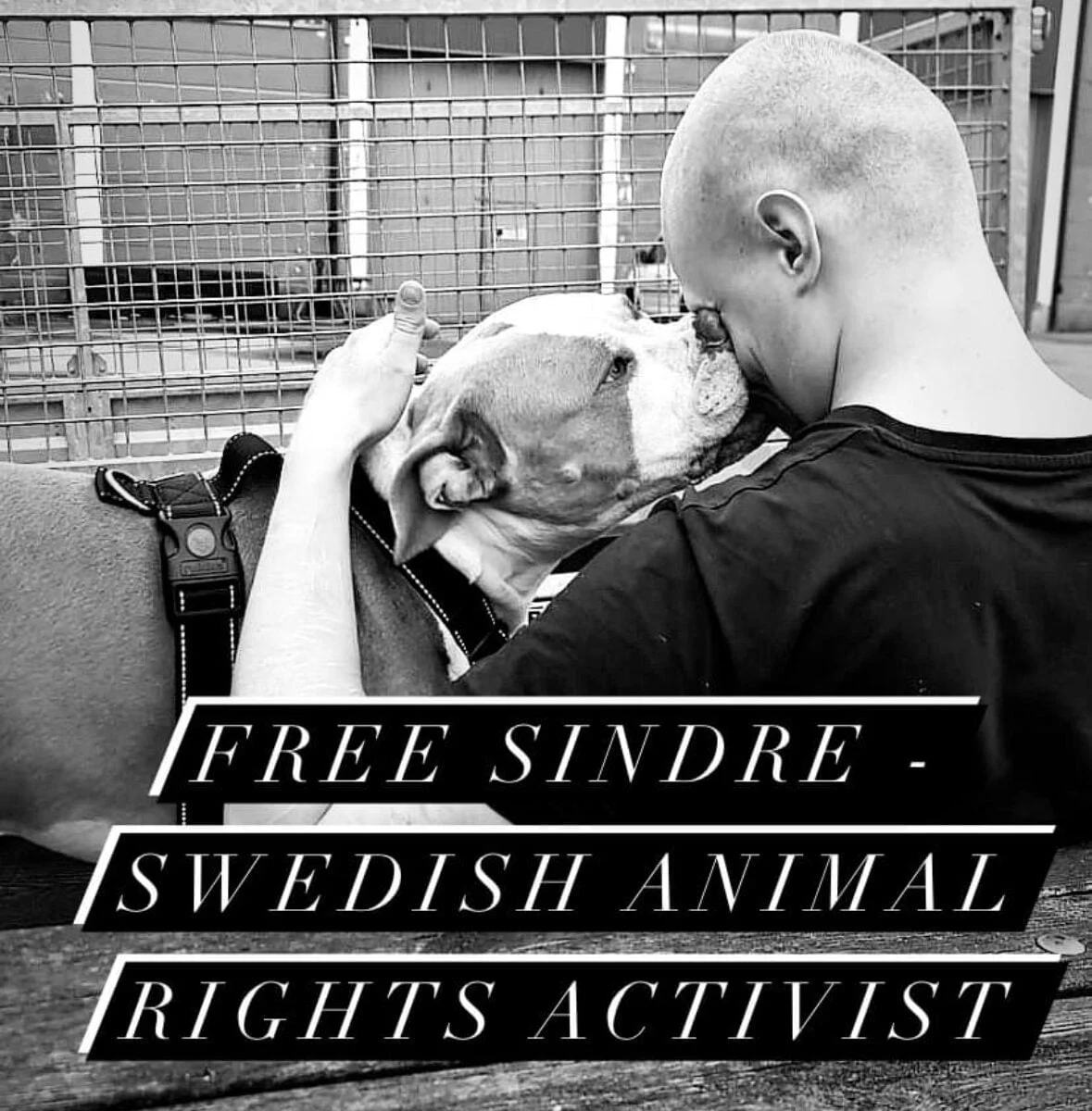 sindre-1179x1200.jpg