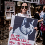 Stop Yulin, demonstration against the killing of dogs and cats in China for the traditional festival Photo by Stefano Montesi