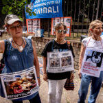 Stop Yulin, demonstration against the killing of dogs and cats in China for the traditional festival Photo by Stefano Montesi