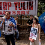 Stop Yulin, demonstration against the killing of dogs and cats in China for the traditional festival Photo by Stefano Montesi
