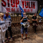 Stop Yulin, demonstration against the killing of dogs and cats in China for the traditional festival Photo by Stefano Montesi