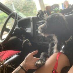 I nostri volontari portano Jonny dal veterinario a Valona