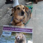 WhatsApp Image 2025-06-24 at 13.33.52 WhatsApp Image 2025-06-24 at 13.33.52