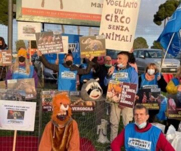 animalisti protesta